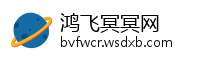 鸿飞冥冥网